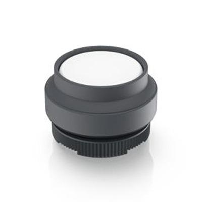 1.30.270.401/2207 RAFI Push Button Switch for Use with RAFIX Switching Element