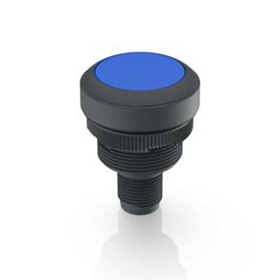 1.10.011.001/0661 RAFI Push Button Switch for Use with Protective Cap