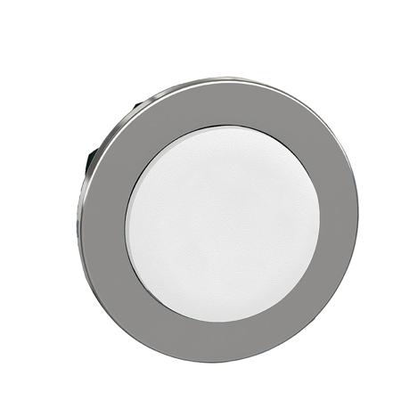 ZB4FH1 FLUSH MOUNT WHITE PROJECT PB HEAD