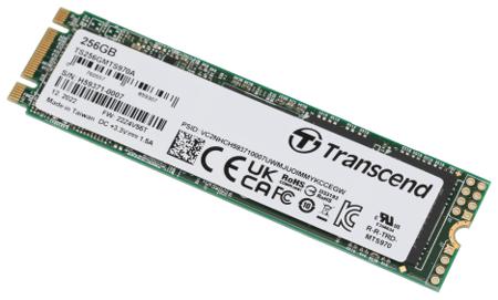 TS256GMTS970A Transcend MTS970A M.2 (2280) Internal SSD