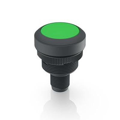1.10.071.001/0551 RAFI Push Button Bezel for Use with Lamp