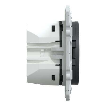 S540406 Schneider Electric Anthracite, 1 Gang, Odace