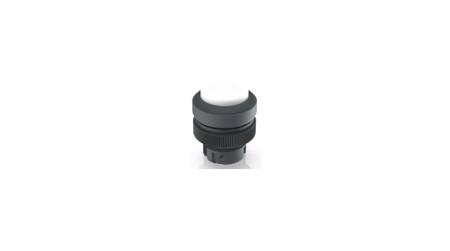 1.30.240.201/1001 RAFI Push Button Switch for Use with RAFIX Switching Element