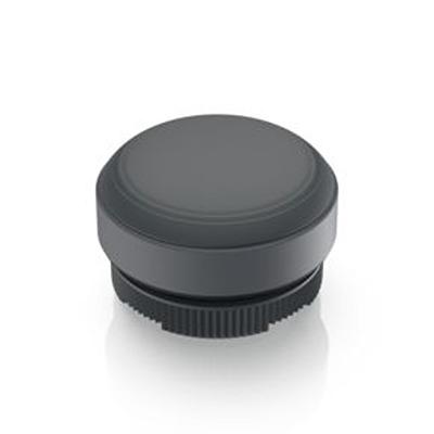 1.30.270.005/0101 RAFI Push Button Switch for Use with RAFIX Switching Element
