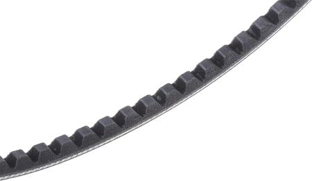 XPZ 800 Contitech Drive Belt, belt section XPZ, 800mm Length