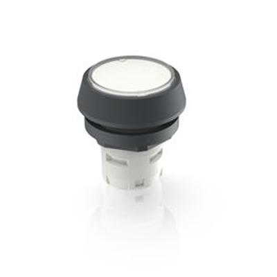 1.30.070.271/0200 RAFI Push Button Bezel for Use with Pushbutton