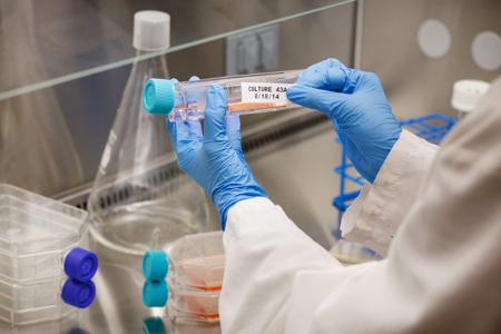 M21-750-488 Brady Cable Label Refill Labels, For Use With BMP21 Label Printers, LABPAL Label Printers