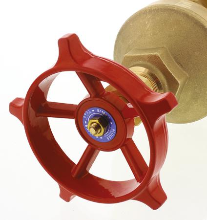 261-0356 RS Pro Gate Valve, 2in