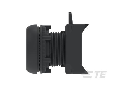 IPE22FLGR TE Connectivity ALCOSWITCH Series Push Button Switch, Momentary, Panel Mount, 22.5mm Cutout, IP65