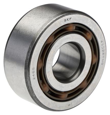 4302 ATN9 SKF  2 Row Ball Bearing - 15 mm ID, 42 mm OD