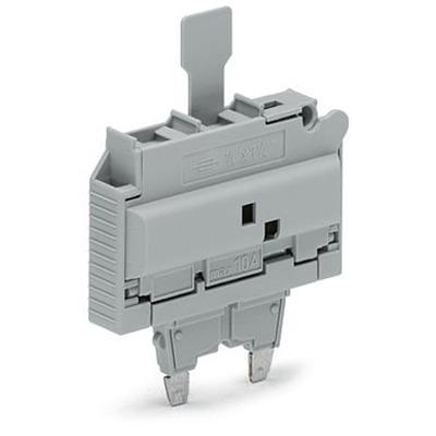 2006-931-099-000 WAGO TOPJOB S Series Fuse Plug for Use with DIN Rail Terminal Block, 10A