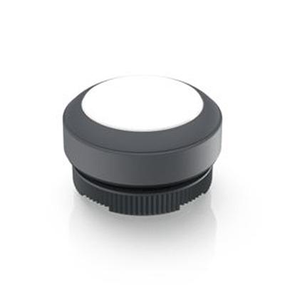 1.30.270.001/2207 RAFI Push Button Bezel for Use with Illuminated Pushbutton