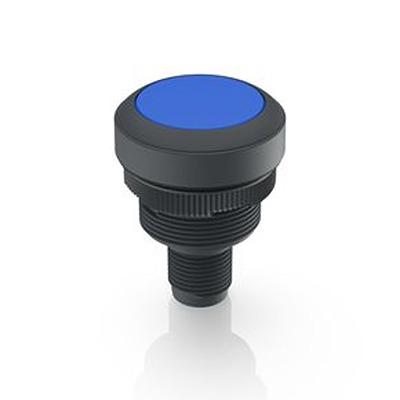 1.10.071.001/0661 RAFI Push Button Bezel for Use with Lamp