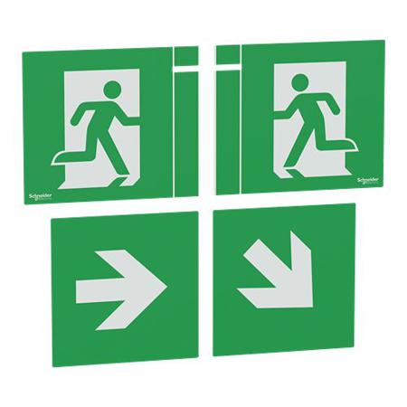 OVA59820 Schneider Electric Green, White Safety Labels, None-Text 118 mm x 100mm
