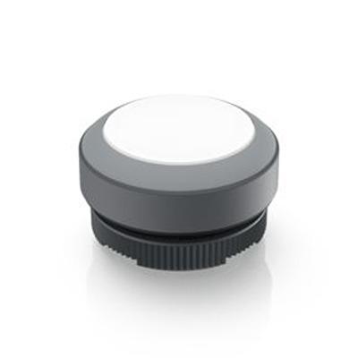 1.30.270.011/2208 RAFI Push Button Switch for Use with RAFIX Switching Element