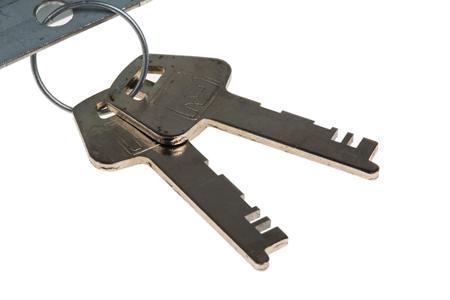 2303-5100CA Euro-Locks a Lowe & Fletcher group Company -  - Steel Padlockable Zinc Plated Door Bolt, 67mm