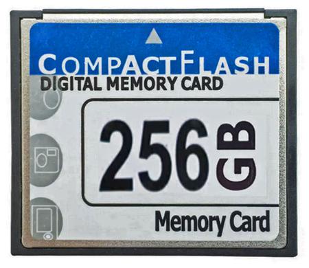 CF-IND-256GB Seeit CompactFlash Industrial 256 GB SLC Compact Flash Card