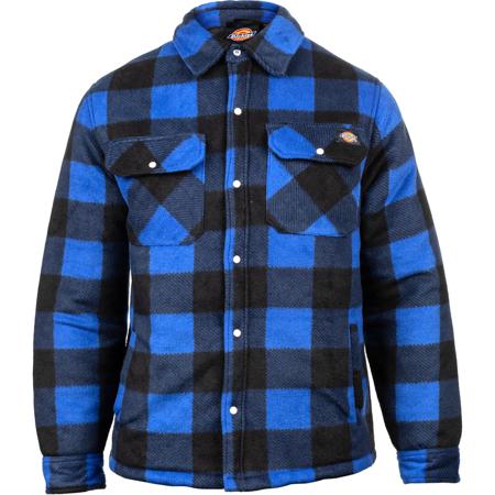 DK0A4XTARBX1 Dickies DK0A4XTA Royal Blue Shirt, UK XL, EU XL