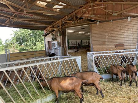 4058075452176 LEDVANCE 50 W LED Batten Light, 240 V LED Lamp, 1 Lamp, 1.644 m Long, IP67/IP69K