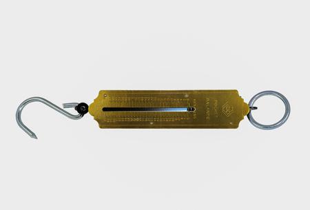 T6202 112 CK Spring Balance, 0.5 kg Resolution, Imperial Scale, Metric Scale, 50kg Weight Capacity