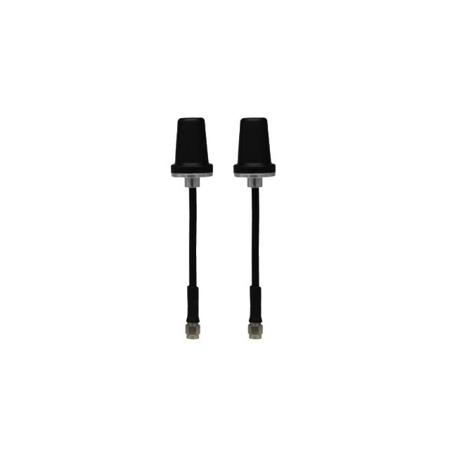 ANT-5800-3-O-2PACK Doodle Labs