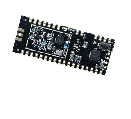 GAMMA62T-89S RF Solutions, LoRa Module -148dBm Receiver Sensitivity