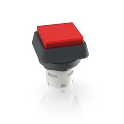 1.30.070.301/0300 RAFI Push Button Bezel for Use with Pushbutton
