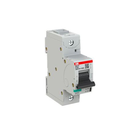 2CCG001239R0001 ABB High Performance S800N MCB, 1P Poles, 100A Curve D, 400V AC, 36 kA Breaking Capacity, MCB