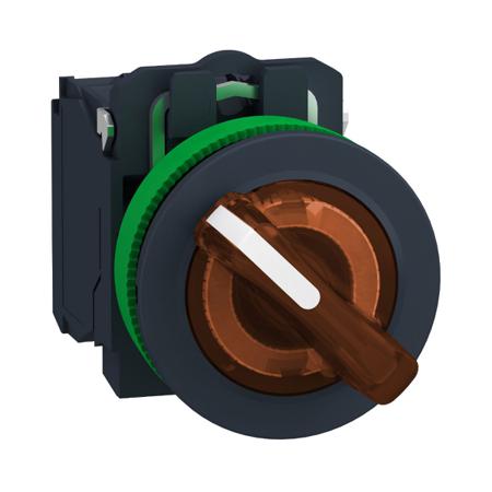 XB5FK125M5 Schneider Electric Selector Switch - (SPDT) 30mm Cutout Diameter, Illuminated 2 Positions