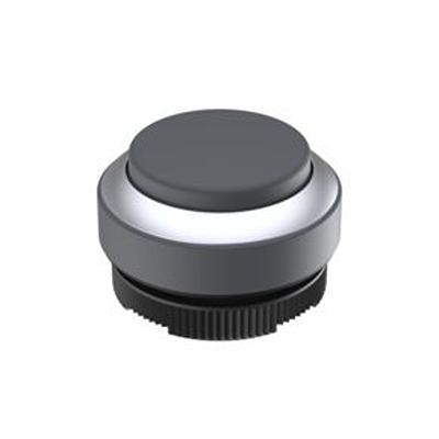 1.30.270.221/0700 RAFI Push Button Bezel for Use with Pushbutton
