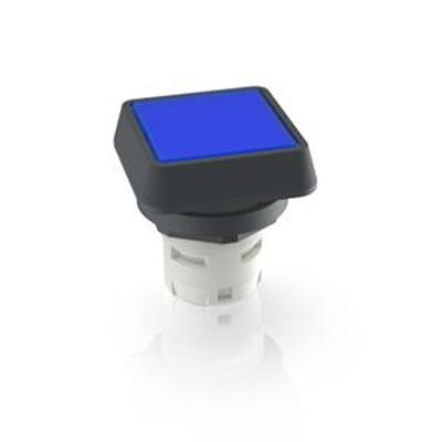 1.30.070.001/1607 RAFI Push Button Switch for Use with Protective Cap