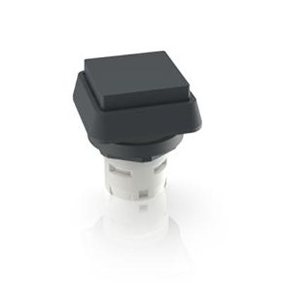 1.30.070.301/0100 RAFI Push Button Bezel for Use with Pushbutton