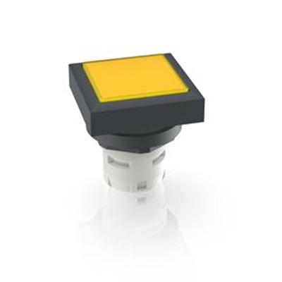 1.30.070.201/1403 RAFI Push Button Switch for Use with Protective Cap