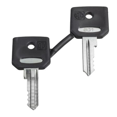 ZBD8D1 Schneider Electric Key for Harmony XB4, Harmony XB5