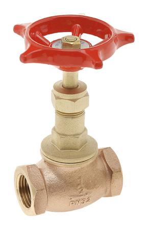 551285 Valsteam ADCA 14 bar SG Iron Thermostatic Steam Trap Set