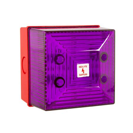 245535 Moflash FD/SD40IS Series Magenta Flashing Beacon, 16.2 To 26.4 V, Wall Mounted, LED Bulb, IP65