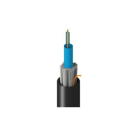 TM-1C0-004-MNAN Belden Inc.