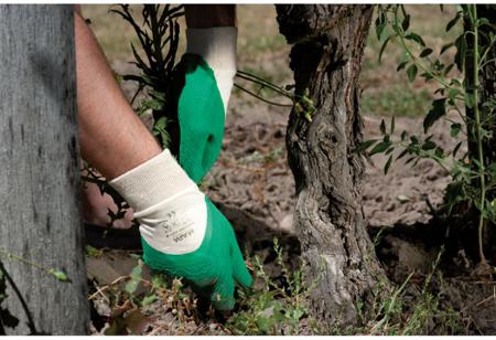 3433001---8 Mapa HARPON 330 Green Latex Public Park Maintenance, Waste Collection, Waste Management Work Gloves, Size 8