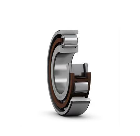 N 205 ECP SKF  25 mm ID Roller Bearing, 52 mm OD