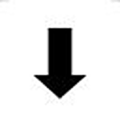 5.70.097.026/1001 RAFI Labels for Use with Push Button And Lighting Indicator