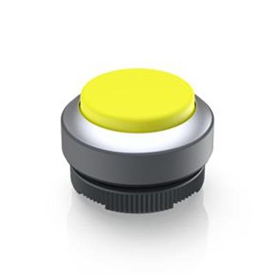 1.30.270.231/2400 RAFI Push Button Bezel for Use with Illuminated Pushbutton