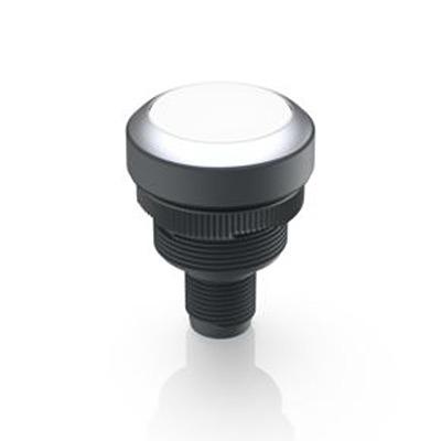 1.10.011.201/0200 RAFI RAMO 22 T Series Illuminated Illuminated Push Button Switch, Momentary, Through Hole, 22.3mm Cutout, 1 NO, White