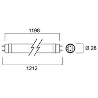 30245, Sylvania