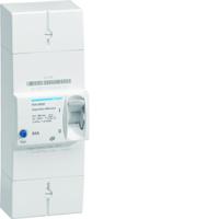 HDA260SF Hager Thermal Circuit Breaker - HAD 2P Pole Fixed, 60A Current Rating