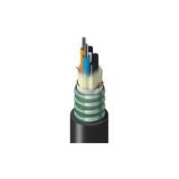 TT-SLG-024-HSNN, Belden Inc.