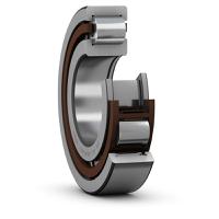 NUP 214 ECP, SKF