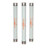 Z1048385 Mersen, 63A Ceramic Cartridge Fuse, 520 x 55.1mm, Speed FF