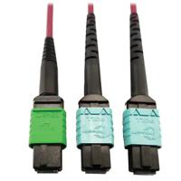 N846D-01M-16DMG, Tripp Lite