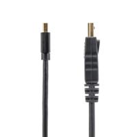 DisplayPort Cables