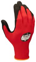 TG1140-08, Traffi